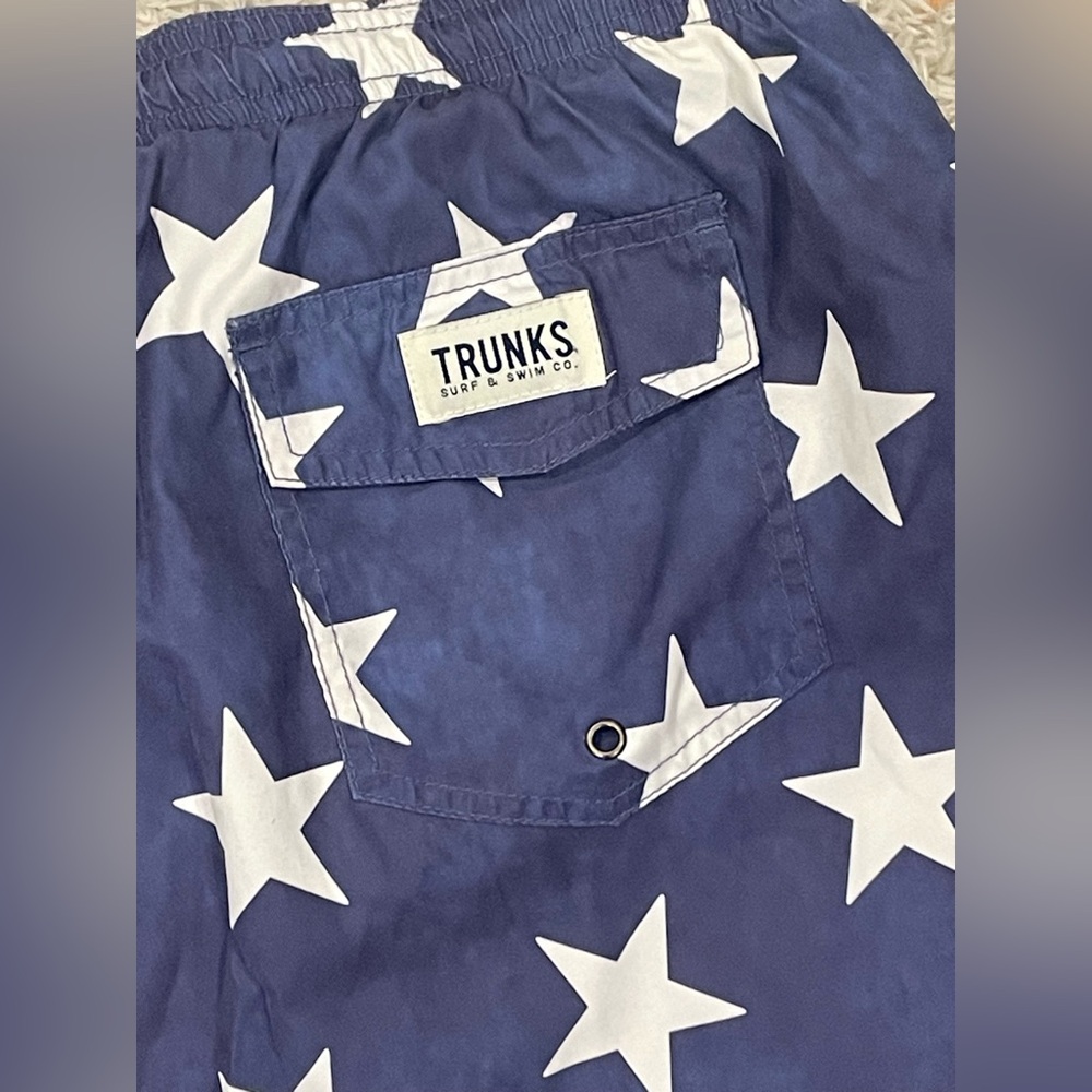 Trunk Surf & Swim Co. Bathing Suit *Like New*. Size L - Picture 3 of 4